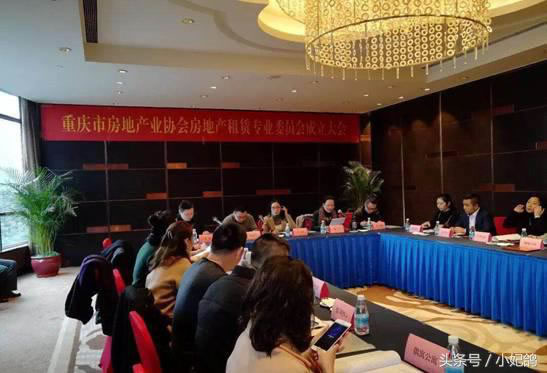 重庆每客逸家商业管理有限公司等11家单位为第一届租赁专委会副主任委员